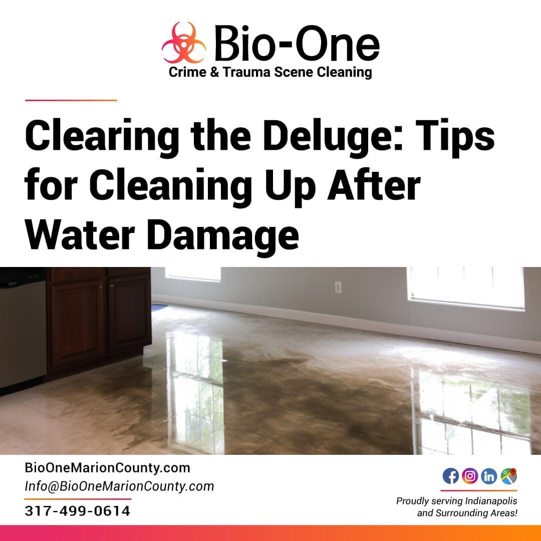 Clearing the Deluge Tips for Cleaning Up After Water Damage