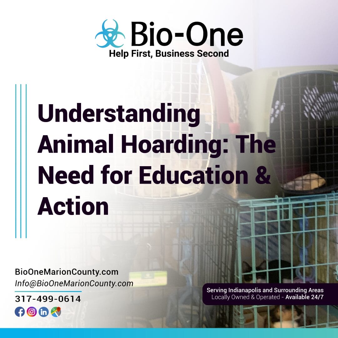Understanding Animal Hoarding: The Need for Education & Action
